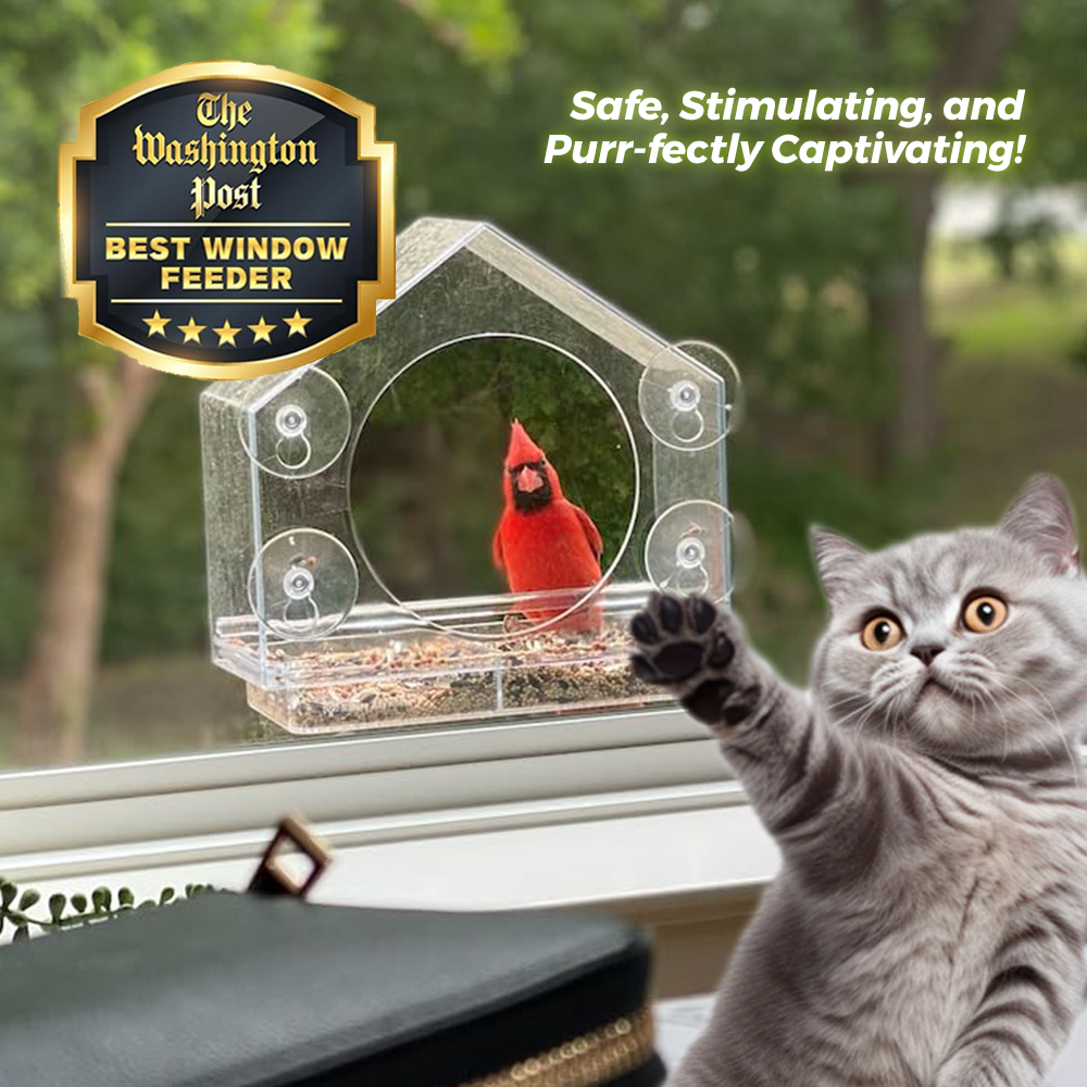 Cat-TV™ Window Bird Feeder