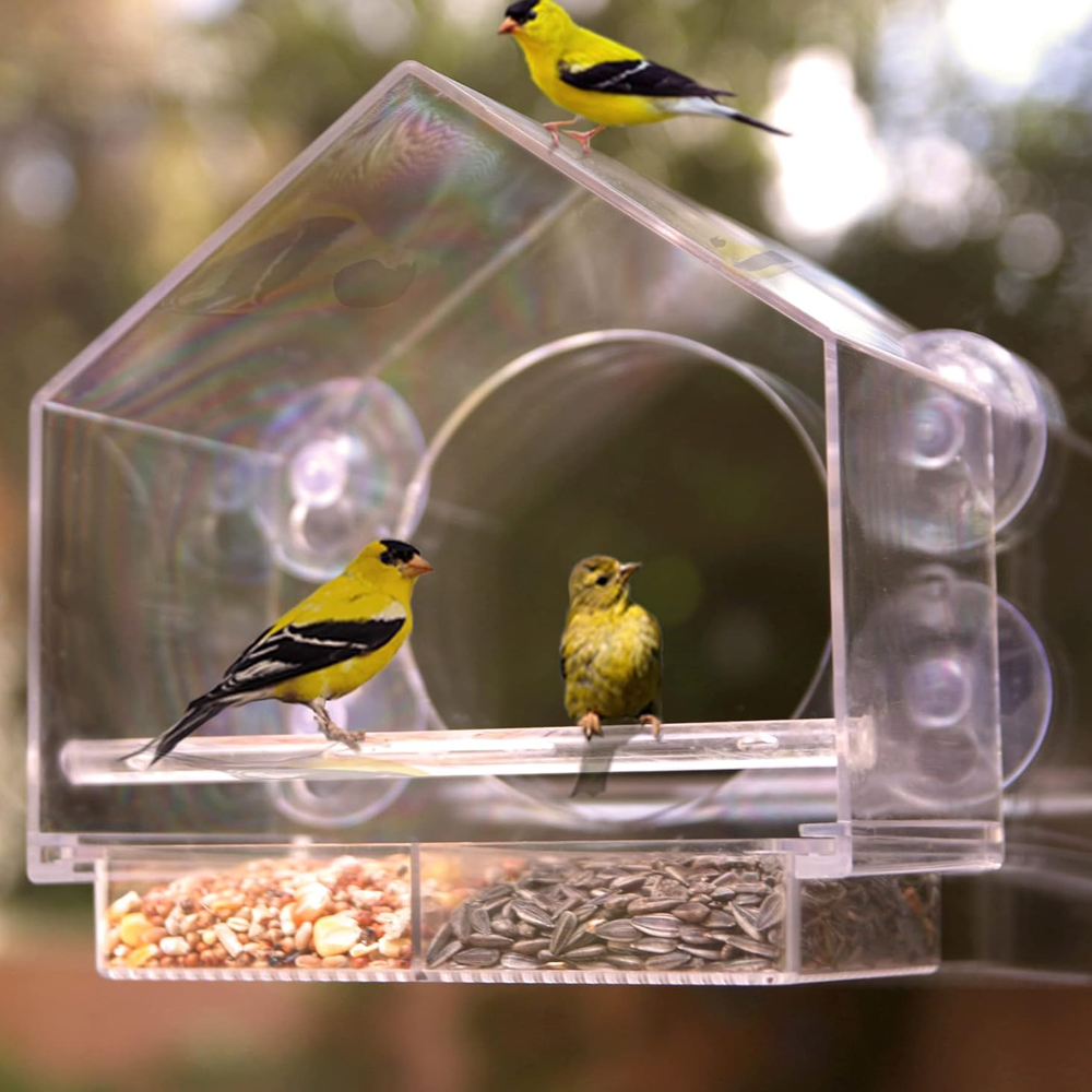 Cat-TV™ Window Bird Feeder